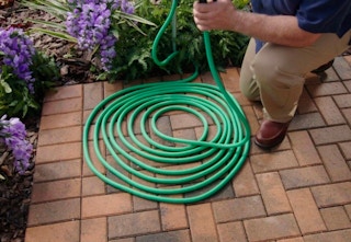 tanga-lizard-hose-sale-mar-2023