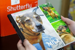 someone holding an 8x8 photo book of their pet from shutterfly