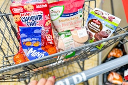 aldi-weekly-deals-081325-mini-cookies-min-cakes-mandarins-freeze-dreied-strawberries-organic-chicken-breast