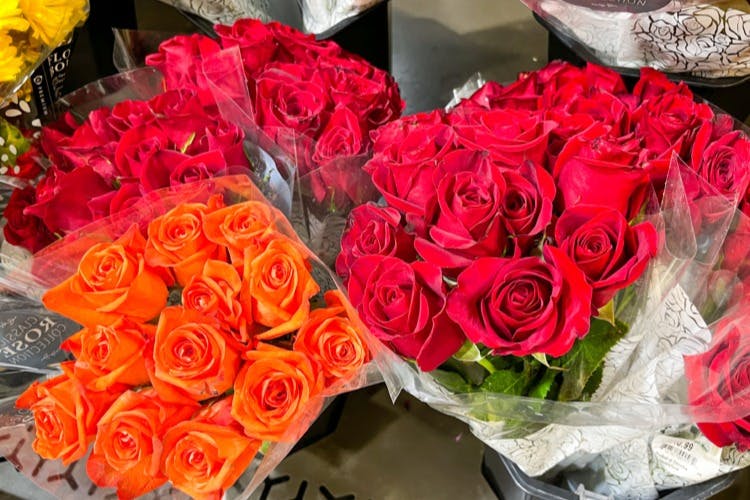 Publix BOGO Classic Dozen Roses, Only 11.99 The Krazy Coupon Lady