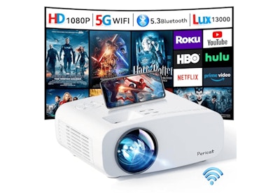 Mini Projector