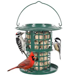 Suet Ball & Peanut Bird Feeder