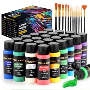 Acrylic Paint Set with Brushes