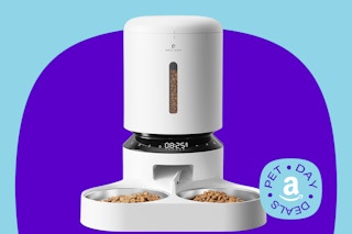  PETLIBRO Automatic Cat Food Dispenser 