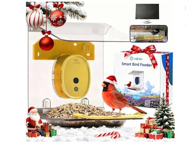 Smart Bird Feeder With Camera