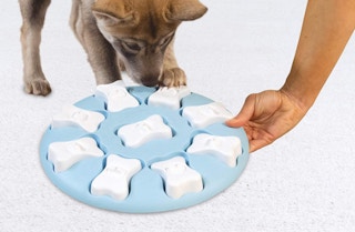 interactive-dog-toy-amazon