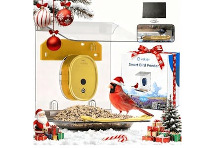 Smart Bird Feeder With Camera
