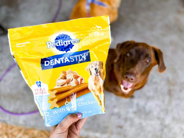 Score Pedigree 51-Count Dentastix for $16 at Chewy — Cheaper Than Amazon card image