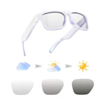 Open Ear Smart Glasses