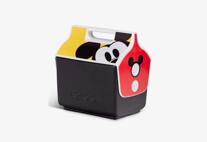 Igloo Cooler