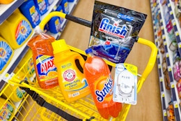 dollar general groceries in shopping cart