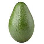 Large Avocado