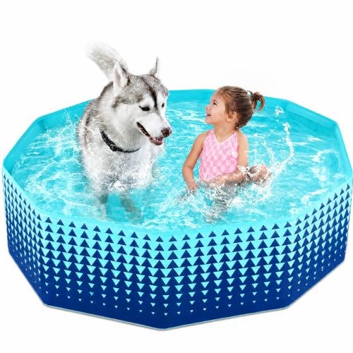 Foldable Dog Kiddie Pool