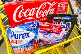 groceries in a dollar general shopping cart