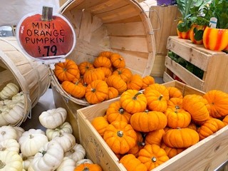mini orange and white decorative pumpkin display in trader joes