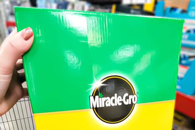 Miracle-Gro Performance Plant Food, Just $6 at Lowe’s (Reg. $11+) card image