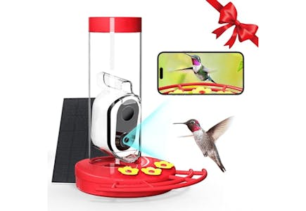 Hummingbird Feeder With Camera