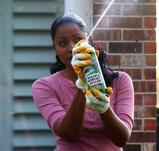 Spectracide 65865 HG-65865 Wasp & Hornet Killer Aerosol