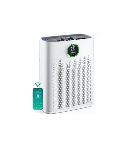 Smart Air Purifier