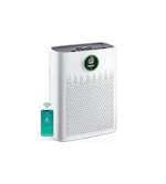 Smart Air Purifier