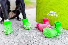 Free Dog Crocs With BarkBox? Yep — Your Pup's First Box Is Just $27 card image
