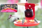 amazon bird feeder