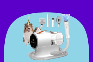 A dog wearing a birthday hat and a cat sit behind a cylindrical grooming vacuum with its hose in the air and 4 attachments above it.