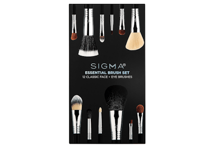 Sigma Essential Brush Set