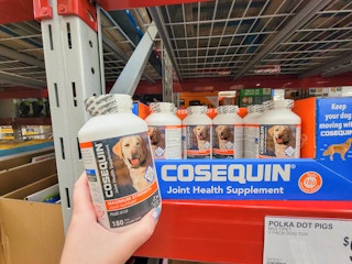 hand holding a bottle of cosequin joint health supplement for pets