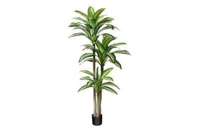 Artificial Dracaena Tree