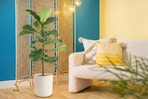 Lowe's fiddle leaf fig