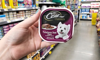 cesar2dglb9 1918 1537374460