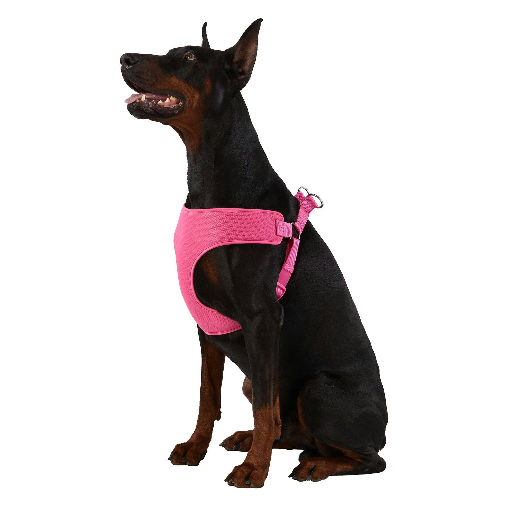 Mesh Comfort Dog Harness