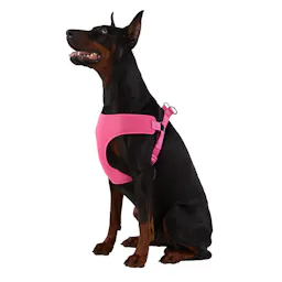 Mesh Comfort Dog Harness