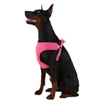 Mesh Comfort Dog Harness