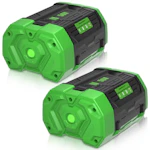 56V Replacement Battery