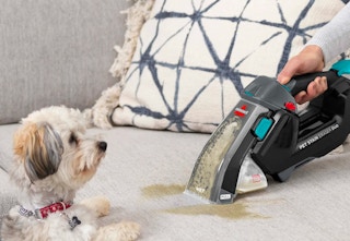 ebay pet cleaner