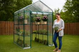 Walk-in Greenhouse With 8 Shelves, Only $48 Shipped at QVC (Reg. $113) card image