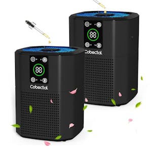 Air Purifier 2-Pack