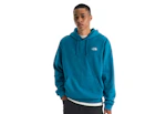 The North Face Men's Evolution Hoodie