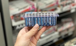 a hand holding a pack of batteries