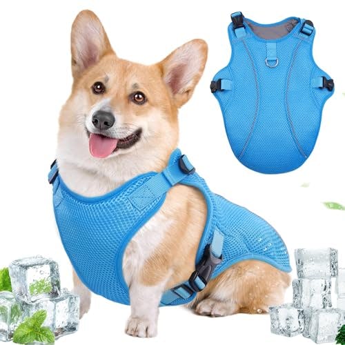 Dog Cooling Vest