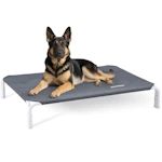 Elevated Dog Bed