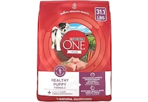 Purina One Plus Puppy Food