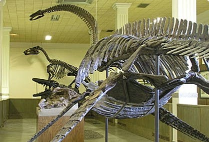 Free Tourist Attractions in Black Hills SD