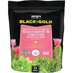 Succulent & Cactus Potting Soil