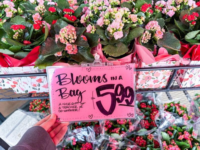 trader-joes-flowers-2