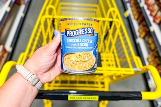hand holding a can of progresso soup above a dollar general shopping cart
