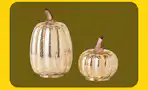 hsn pumpkins