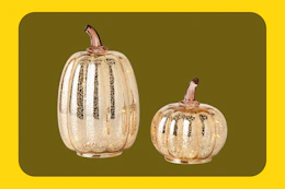 hsn pumpkins